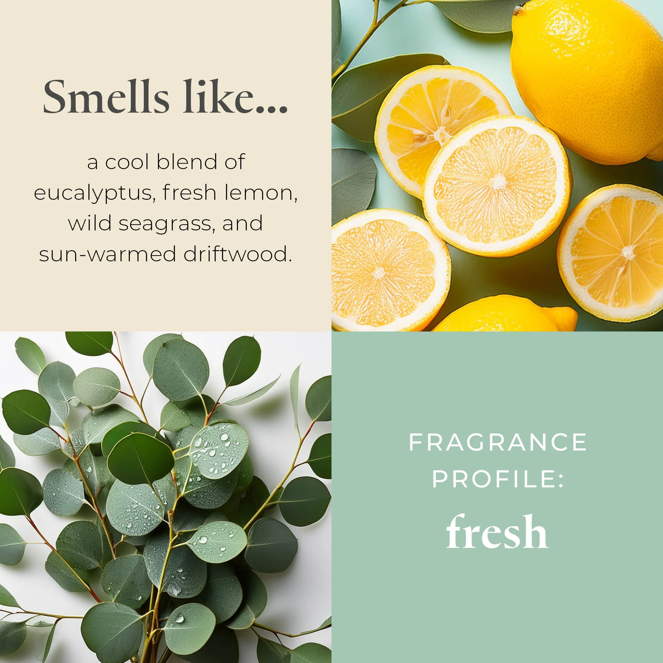 Refillable by PartyLite Seagrass Eucalyptus Jar Candle - Image 4