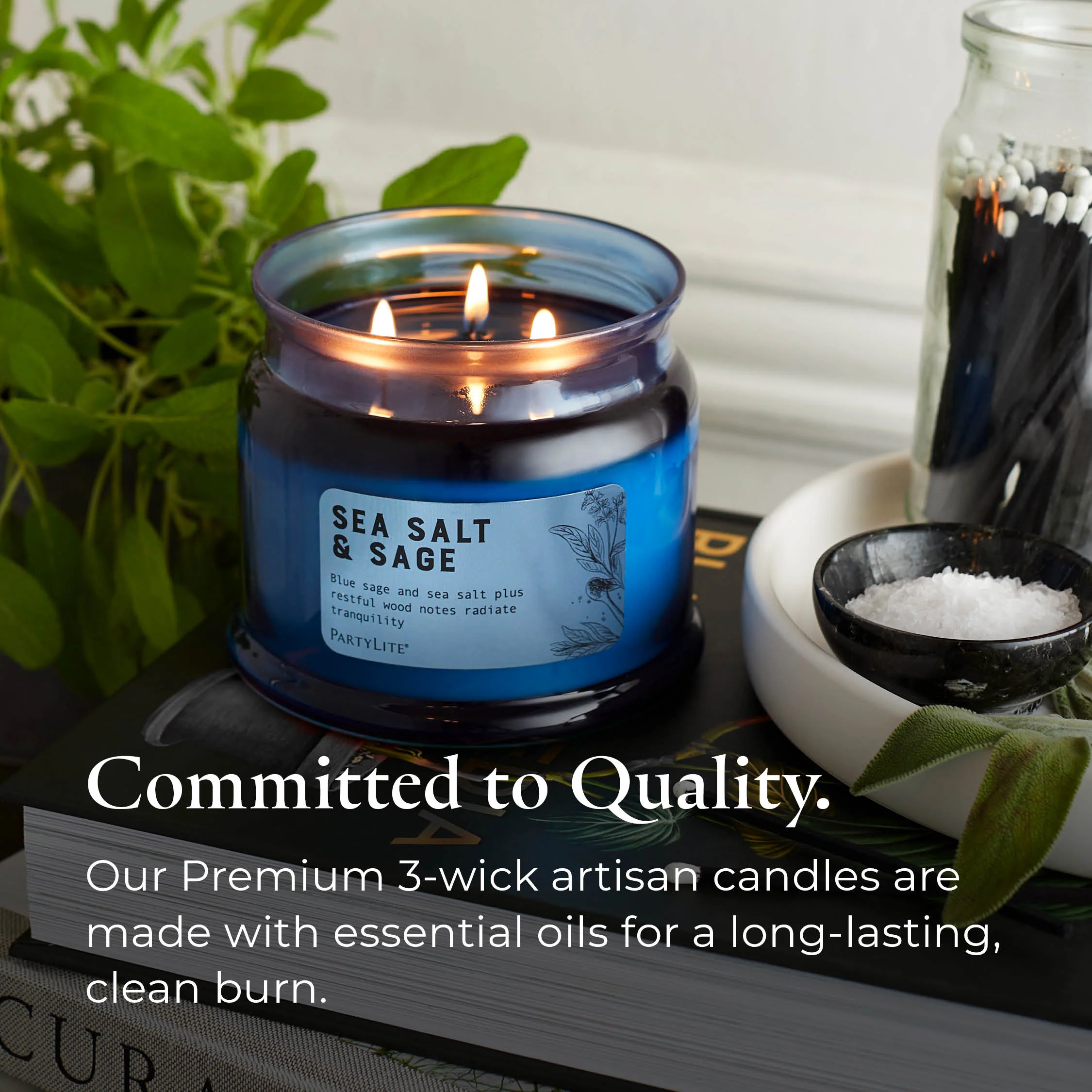 Sea Salt & Sage 3-Wick Jar Candle - Image 7