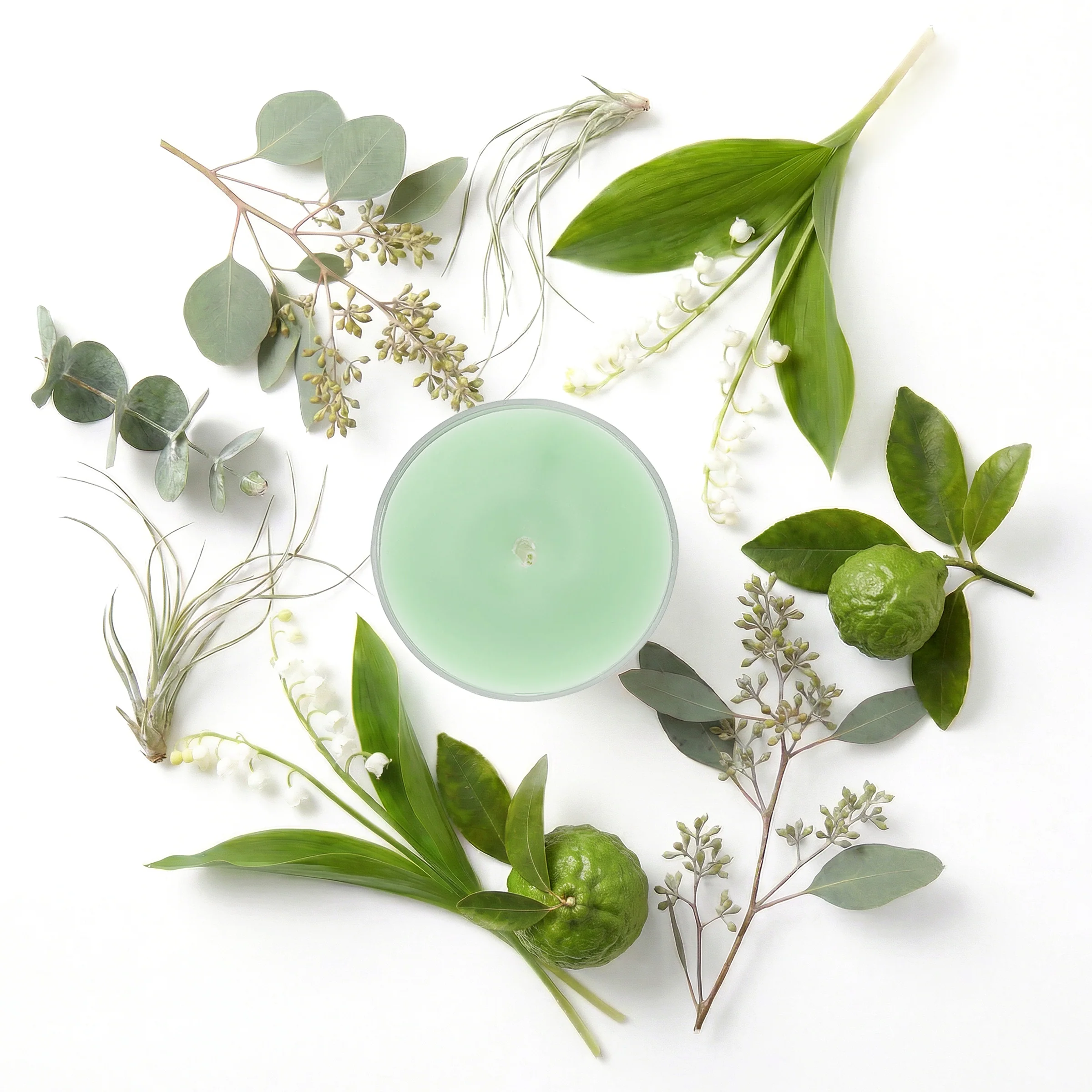 Seagrass Eucalyptus Universal Tealight® Candles - Image 3