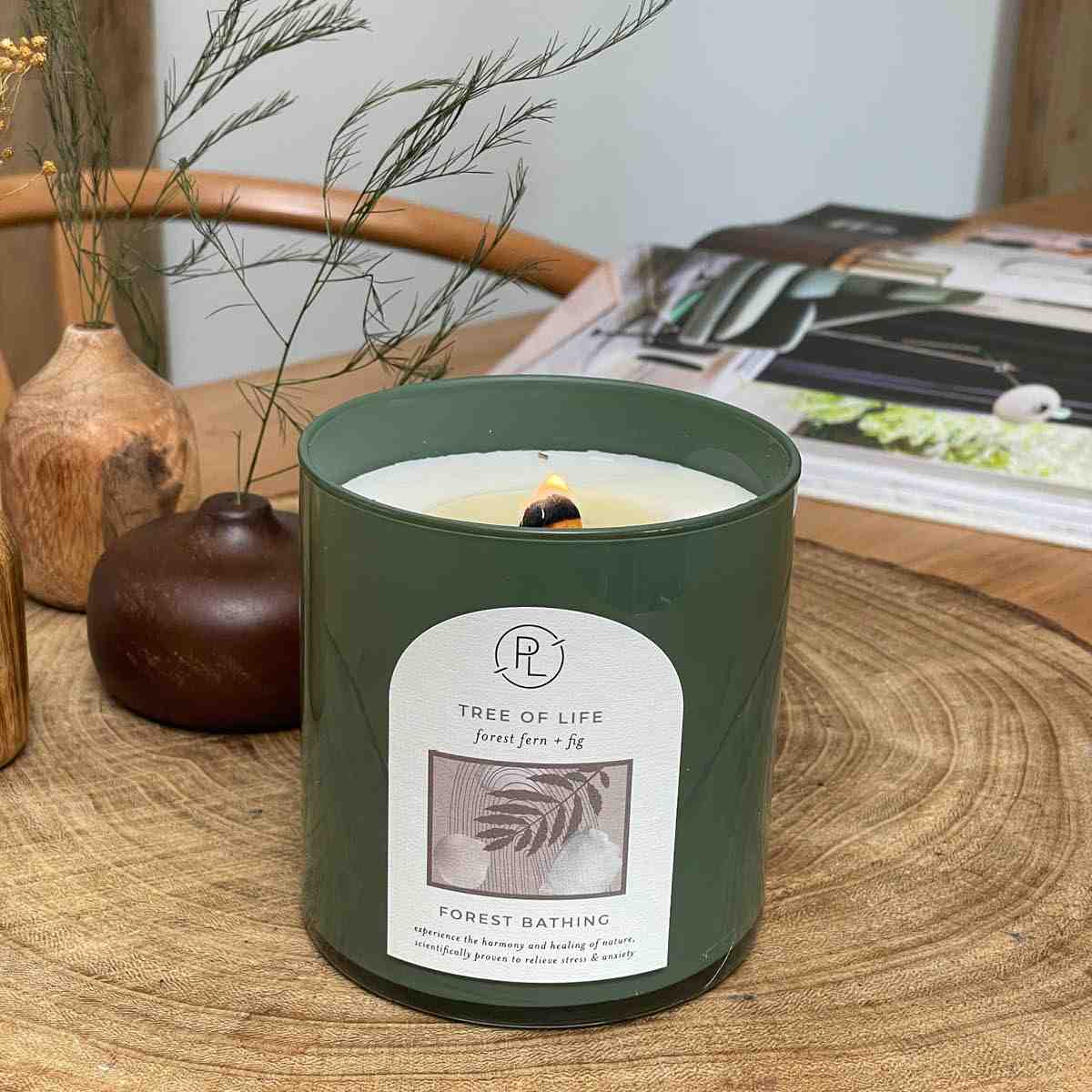 Tree of Life: forest fern + fig Jar Candle - Image 3