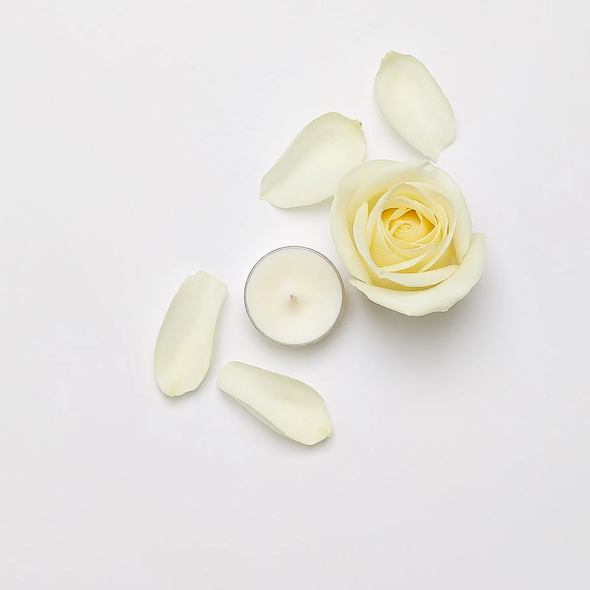 White Rose Universal Tealight® Candles - Image 3