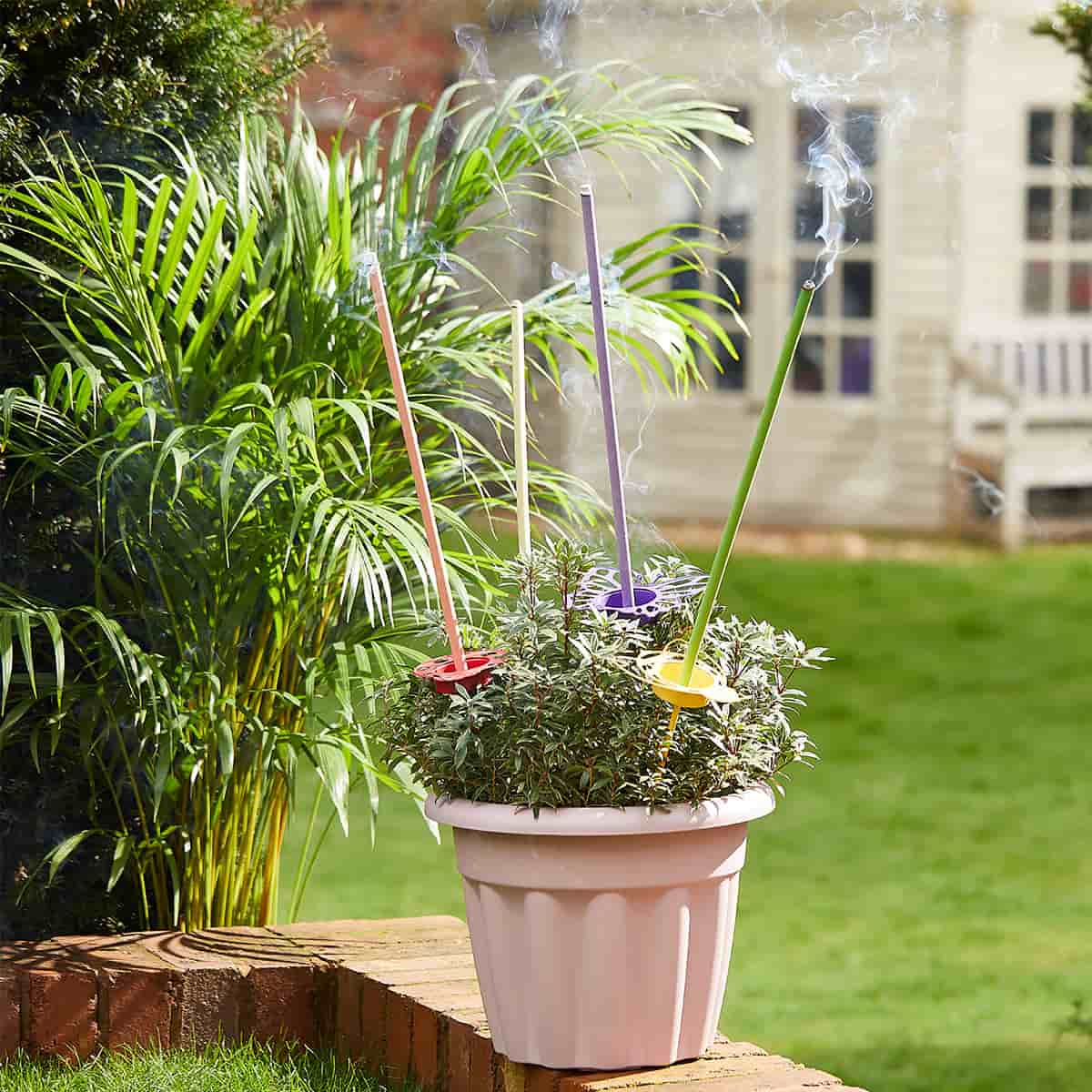 Wild Lemongrass Citronella Garden Incense - Image 6