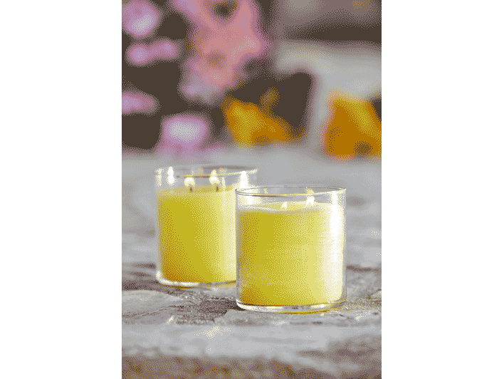 Wild Lemongrass Citronella Universal Tealight® Candles - Image 8